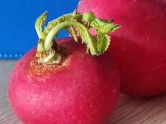 -东川新街市(东川市场店)