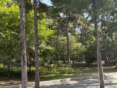 -长春市南湖公园