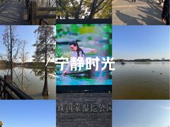 -海珠湖公园