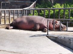 -济南野生动物世界