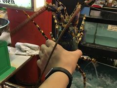 -Lanterns Vietnamese Restaurant