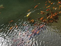 -温州永嘉书院