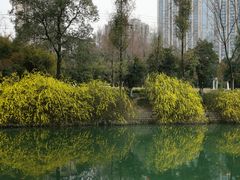 -塔子山公园