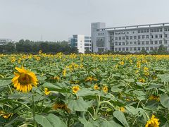 -南京信息职业技术学院