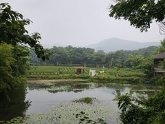 -绿茶餐厅(龙井船宴· 品牌总店)