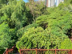 -金鸡岭桥头公园