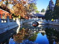 -香山公园