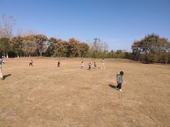-惠洛克国际儿童之家(绿博园中心)