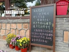 -红楼梦邮局