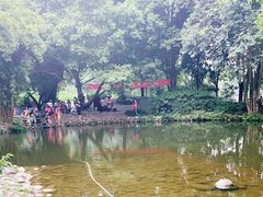 -成都市活水公园