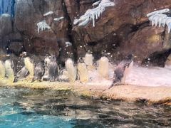 -哈尔滨波塞冬海底世界