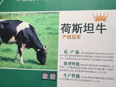 -君乐宝优致牧场