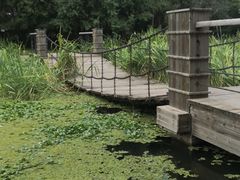 -长白岛森林公园