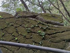 -内乡宝天曼生态旅游区