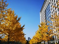 -东北大学(南湖校区)