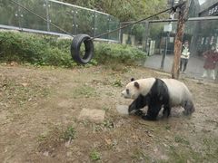 -黔灵山公园-南门售票处