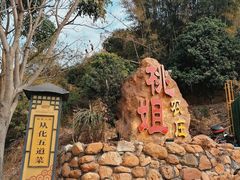 -桃姐农庄老字号(从化温泉店)