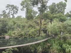 -千岛湖东南湖区