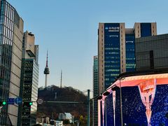 -乐天免税店(明洞店)