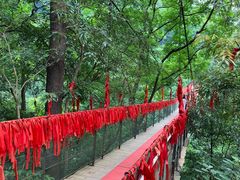 -桂林古东瀑布景区