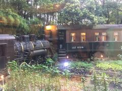 -上海老站(徐家汇店)