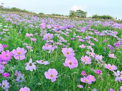 -江苏三台山国家森林公园