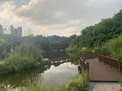 -张坝桂圆林公园