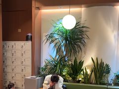 -奈雪的茶(石家庄万象城店)
