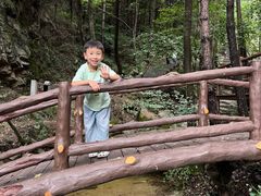 -王顺山国家森林公园