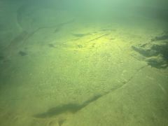 -白鹤梁水下博物馆