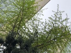 -上海外滩茂悦大酒店