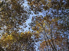 -华中科技大学百景园(三楼酒店)