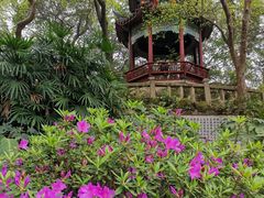 -乌山风景区