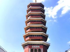 -三水森林公园