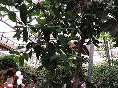 -金稼园·金平湖农家菜