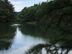 -四明山国家森林公园