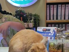 -宠物兔专门店(天丰利市场店)