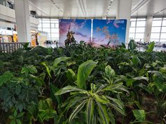 -石家庄正定国际机场-T2航站楼