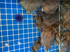 -星伦多自助料理·涮烤一体(杭州来福士店)