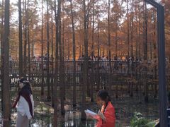 -梅峰山地公园