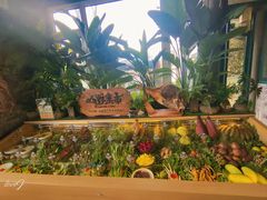 -慢丽江·云南野生菌土鸡锅(西山店)