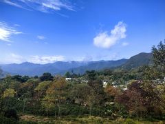 -塔川景区
