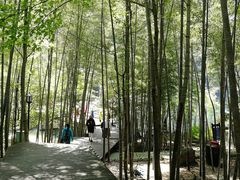 -祁门牯牛降观音堂风景区