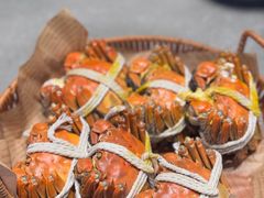 阳澄湖大闸蟹-徐岛主·特色农家乐(阳澄湖莲花岛店)