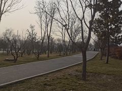 -洨河生态公园