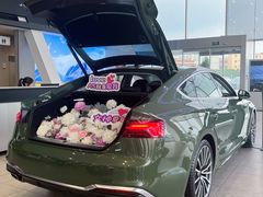 -广州南菱奥申奥迪4S店(白云店)