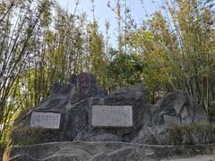 -东莞市大岭山森林公园