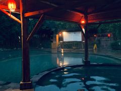 -雅安楠水阁温泉酒店