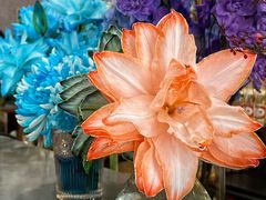 -小胖私厨状元宴·东北私房菜馆