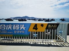 -海源公园